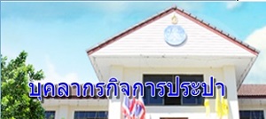 แผนงาน/โครงการ